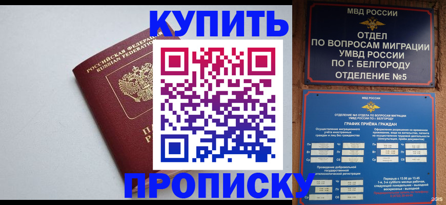 прописка регистрация в Павловске
