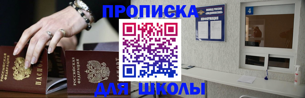 пропишу в квартире в Павловске